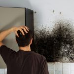 Black Mold - Mold Inspection Monmouth